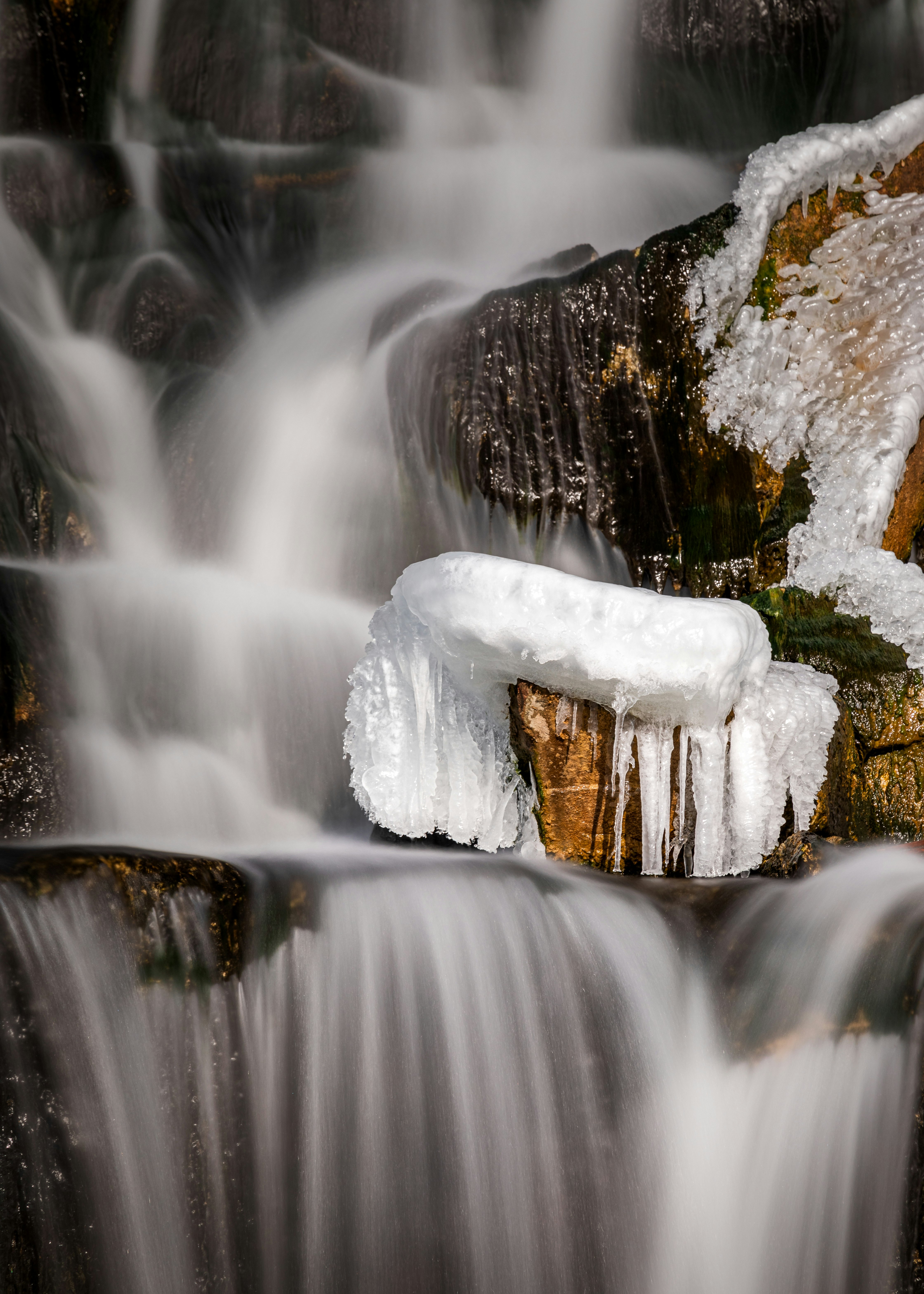 white ice on brown wooden log